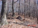 View of Burkest Garden AT by kby in Day Hikers