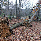 Hurricane Sandy by Wise Old Owl in Trail & Blazes in Maryland & Pennsylvania