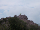 Grayson Highlands by Possum Bill in Trail & Blazes in Virginia & West Virginia