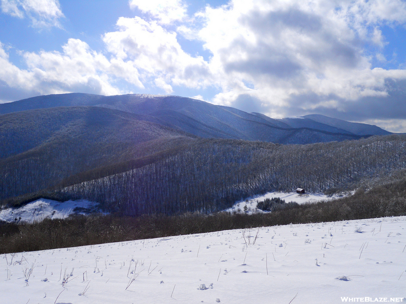 Roan  Mountain