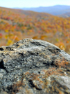 Rock And Tree by Sir Evan in Views in Virginia & West Virginia