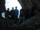 Group shot at the base of the tooth