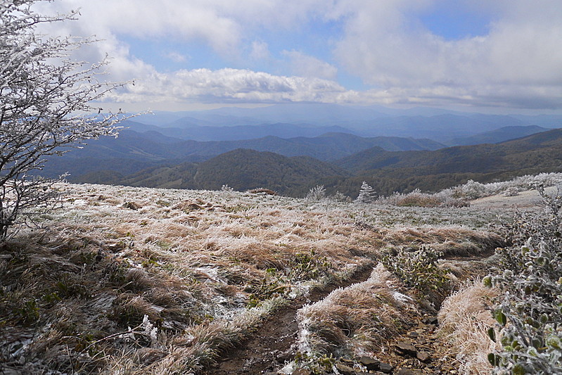 Fall vs. Winter