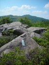 Mount Rogers In The Distance