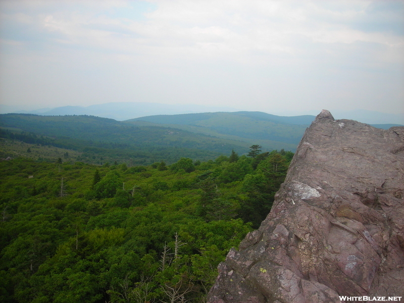 A View Near Rhoddedendron Gap