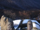 Long way down by Sir Evan in Views in Virginia & West Virginia
