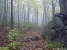 Fog by Sir Evan in Views in Virginia & West Virginia