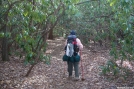 My buddy, "Toes" heading to Mooney Gap by Caveman1 in Section Hikers