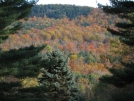 View from my front yard by Quoddy in Views in New Jersey & New York