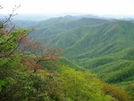 Standing Indian Mtn.