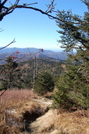 Clingman's Dome - south slope by coheterojo in Members gallery