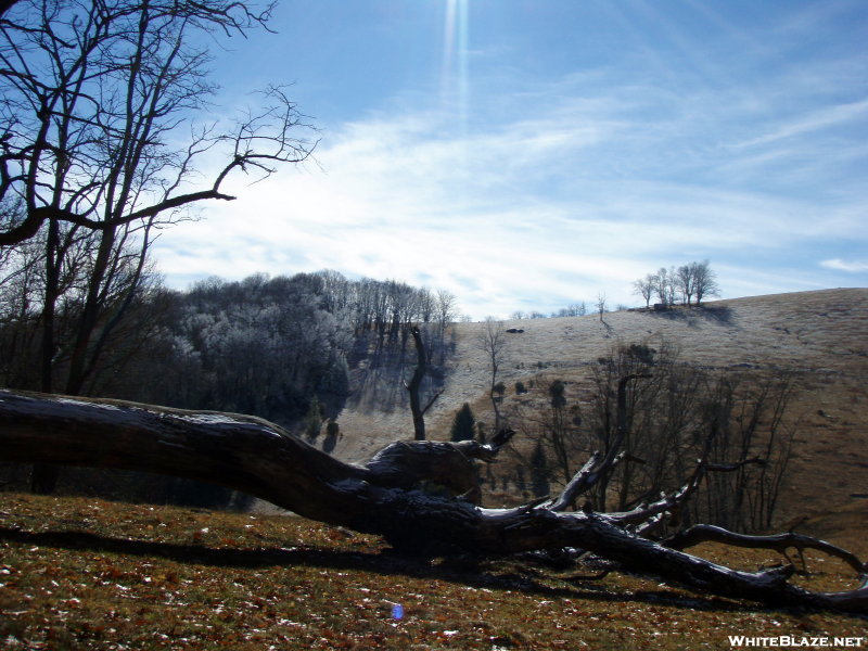 Hemphill Bald trail - Thanksgiving 07