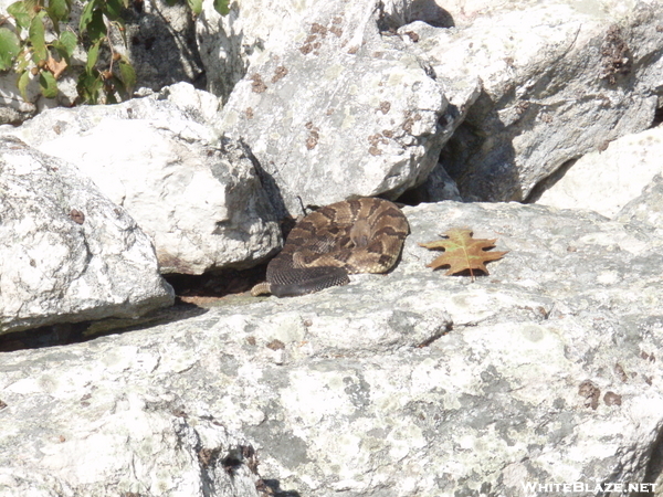 Rattler - Balanced Rock