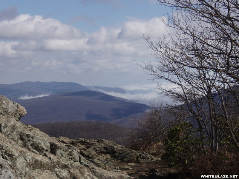 Shenandoah Spring 2009