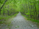 Water Gap by Mr Freeze in Trail & Blazes in New Jersey & New York