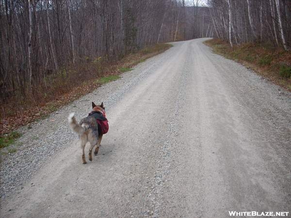 Don't you just love the feeling of road hiking to town?