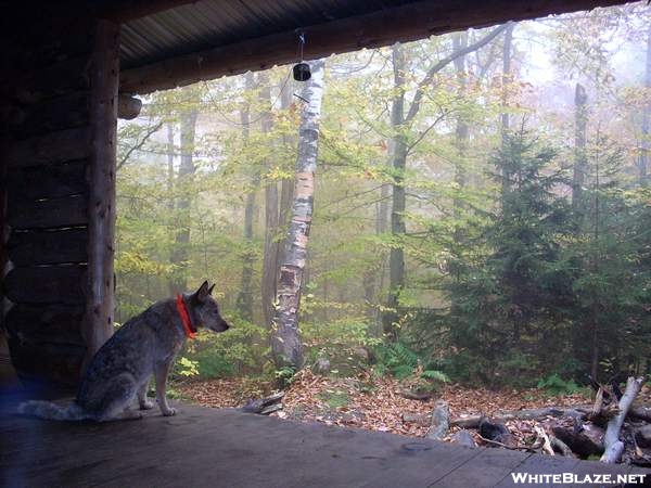 Ore Hill Shelter NH - October 19, 2007