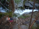 Heading to Kinsman Notch from Beaver Brook Shelter, NH