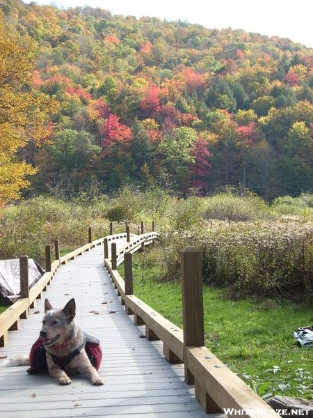 North of Kent Pond - Killington, VT