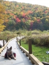 North of Kent Pond - Killington, VT