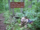 7-19-07 South of Ashby Gap, VA by doggiebag in Trail & Blazes in Virginia & West Virginia