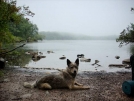 8-22-07 Crossed into NJ - Sunfish Pond by doggiebag in Trail & Blazes in New Jersey & New York
