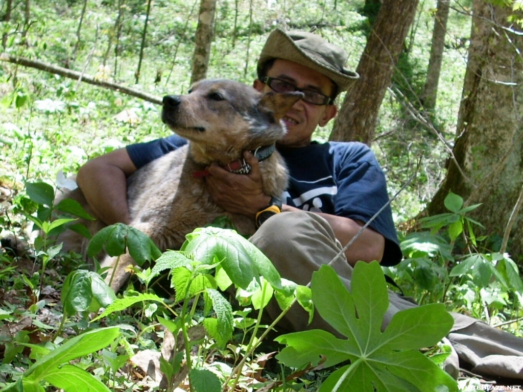 A beautiful day in a valley somewhere in NC