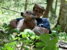 A beautiful day in a valley somewhere in NC by doggiebag in Thru - Hikers