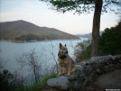 Sad time ... Aldo goes to the kennel - Smokies by doggiebag in Views in North Carolina & Tennessee