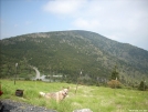 The Balds past Carver's Gap.