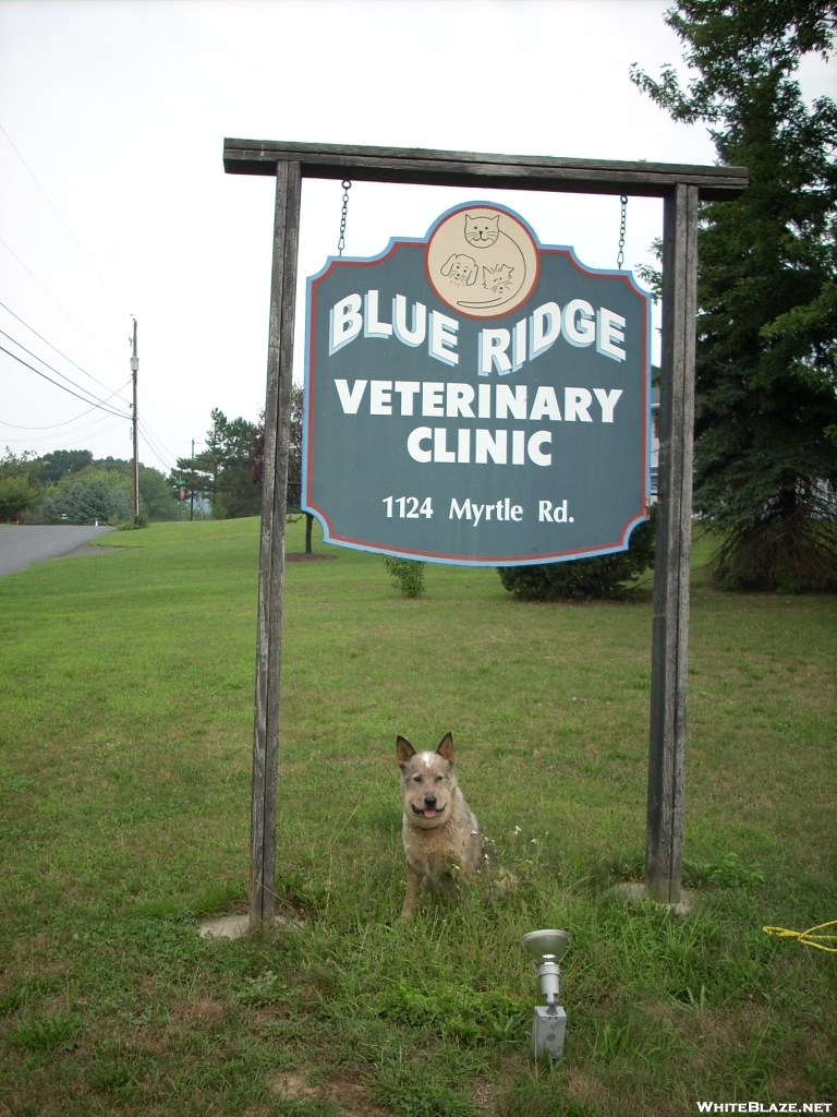Thank you Blue Ridge Veterinary Clinic