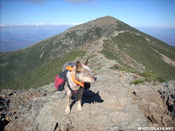 Mt. Lafayette (North Peak) Whites, NH