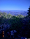 Tray Mountain Summit looking West by doggiebag in Thru - Hikers