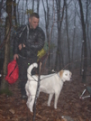 1-11-2008 A Wet Miserable Morning At Wildcat Shelter by doggiebag in New Jersey & New York Shelters