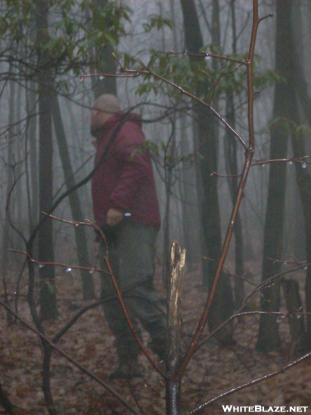 1-11-2008 A Wet Miserable Morning At Wildcat Shelter