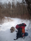 1-19-08 Enroute To The Rod Hollow Shelter by doggiebag in Trail & Blazes in Virginia & West Virginia