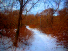 1/19/08 Winter Still Life Enroute To Sky Meadows by doggiebag in Trail & Blazes in Virginia & West Virginia
