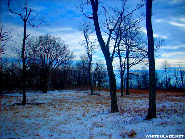 1-19-08 Winter Views At Sky Meadows St. Park - Va