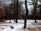 1/19/08 Sky Meadows - Trail Scene by doggiebag in Trail & Blazes in Virginia & West Virginia