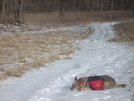 1/19/08 Winter Hike in Northern Virginia by doggiebag in Trail & Blazes in Virginia & West Virginia