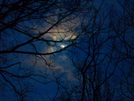 1-19-08 Full Moon At The Rod Hollow Shelter by doggiebag in Views in Virginia & West Virginia