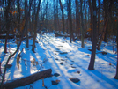 1/20/08 Winter Trail On The Rollercoaster Of Northern Virginia