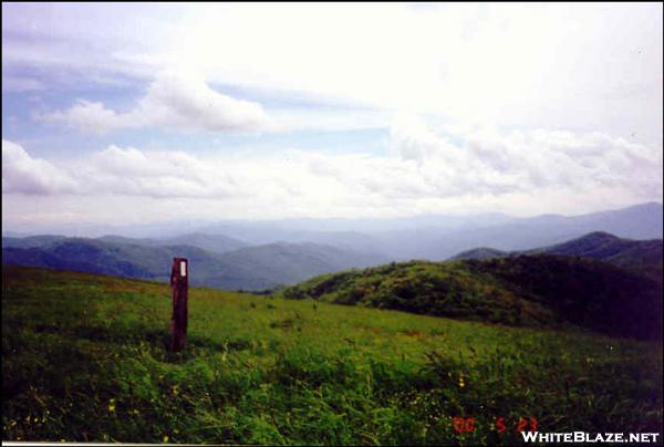 Max Patch Bald, NC