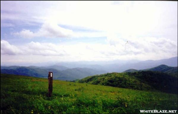 Northbound at the summit of Max Patch Bald, NC