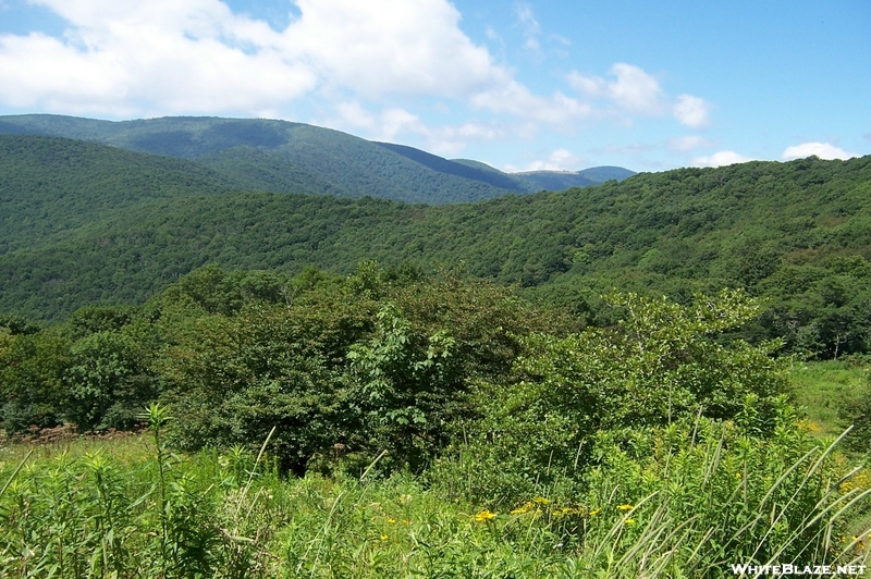 Roan Highlands NC/TN