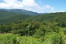 Roan Highlands NC/TN by GrouchoMark in Trail & Blazes in North Carolina & Tennessee