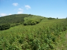 Roan Highlands NC/TN by GrouchoMark in Trail & Blazes in North Carolina & Tennessee