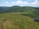Roan Highlands NC/TN by GrouchoMark in Trail & Blazes in North Carolina & Tennessee