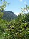 Linville Gorge, N.C. by GrouchoMark in Other