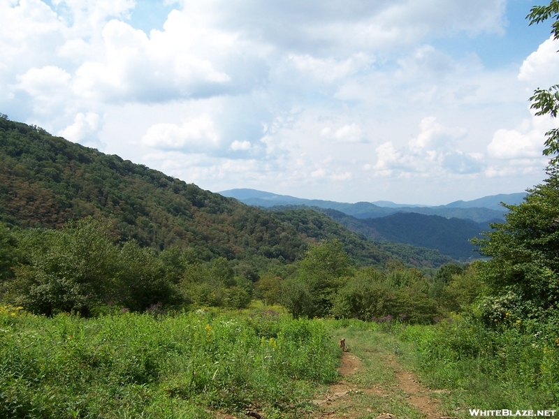 Roan Highlands/Hampton Creek Cove Natural Area, Tennessee